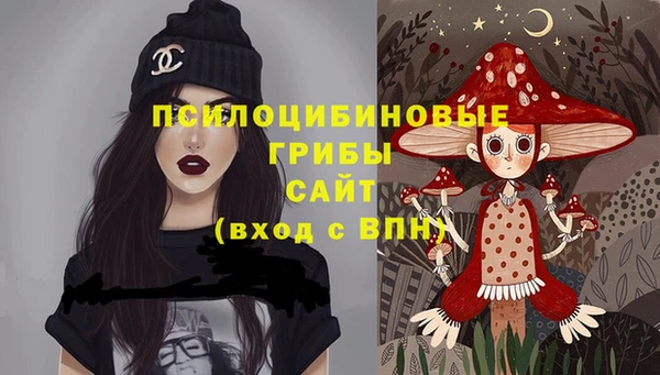 a pvp Арсеньев