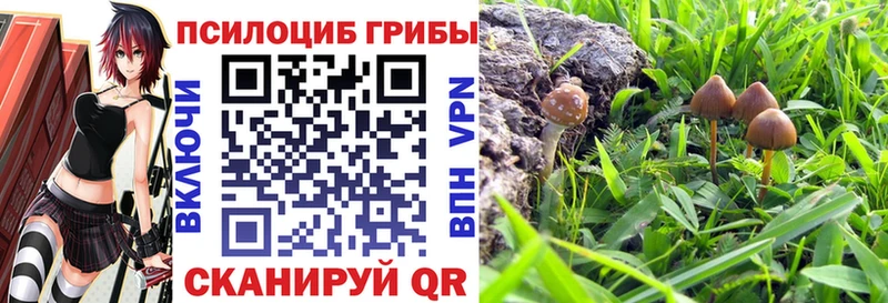 Псилоцибиновые грибы Cubensis  МЕГА зеркало  Славск 